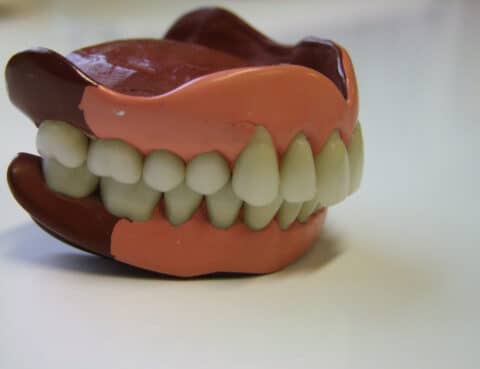 Old, Vintage Porcelain Teeth, Complete Denture Plate Set